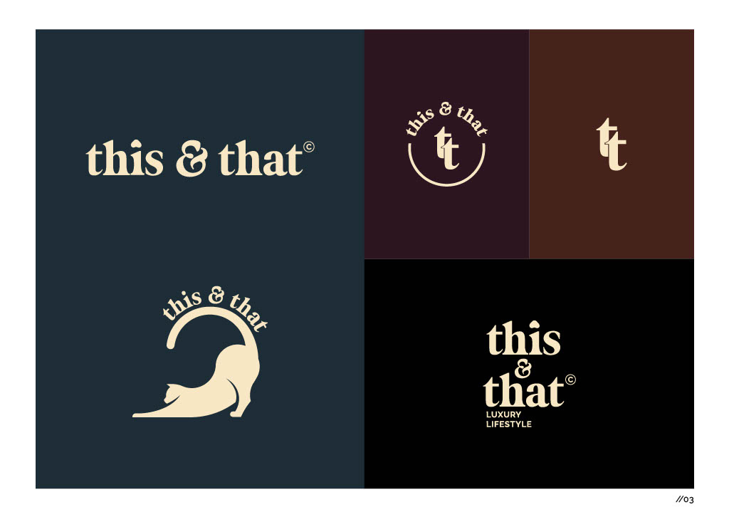 This & That_Babajide Olowookere