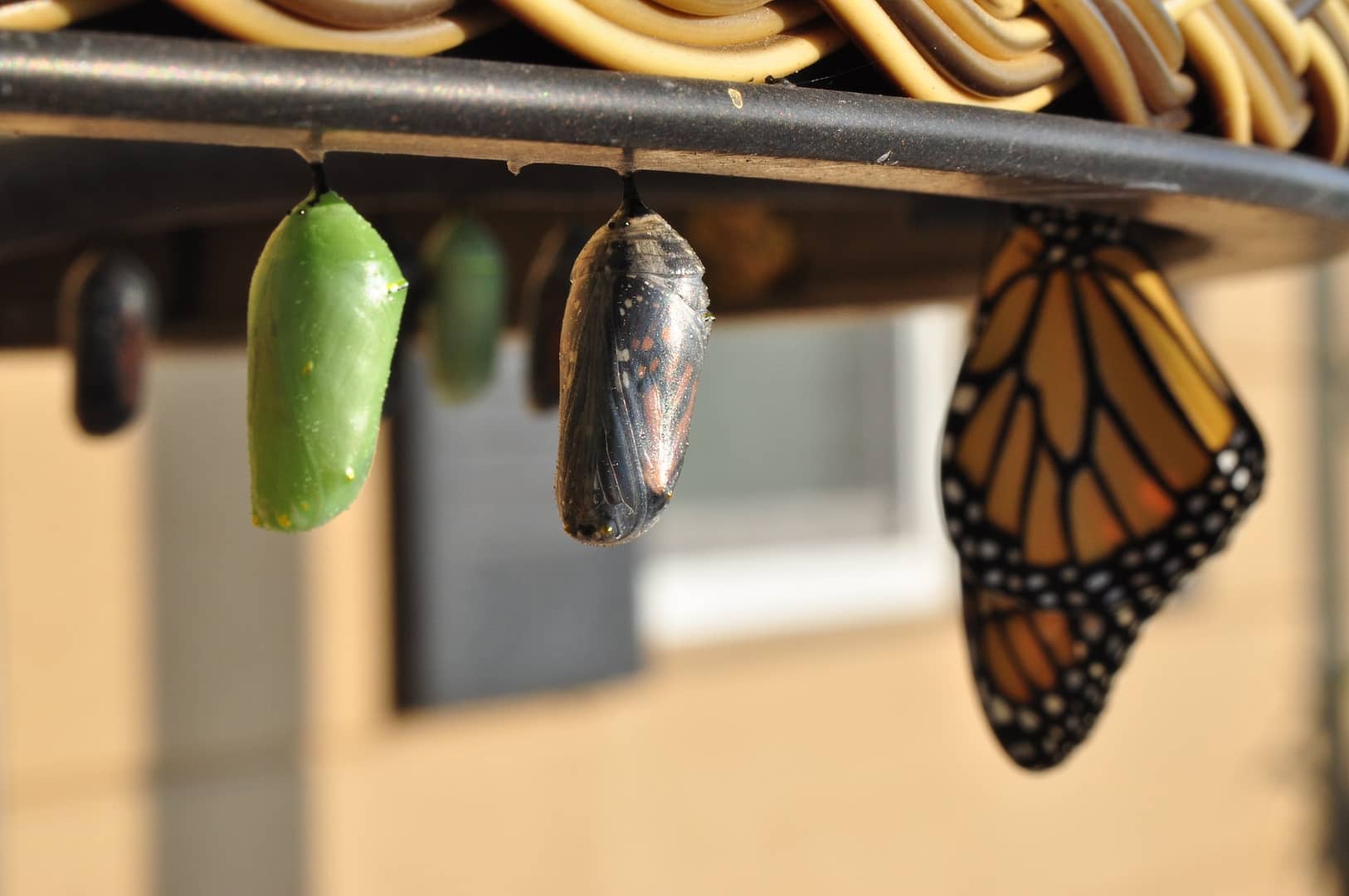 Curiosity Is A Vital Component Of Growth